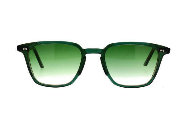 PAO 2011 - Image 2