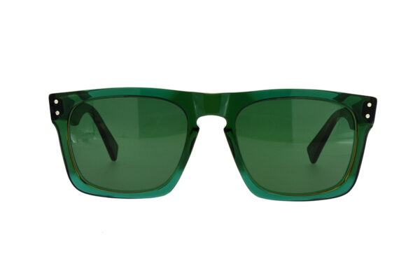 PAO 2024 - Image 2